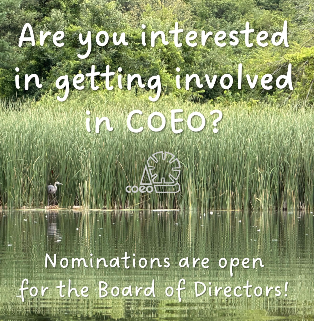 bod nominations open